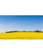 3-TAGE-MAI -SALE